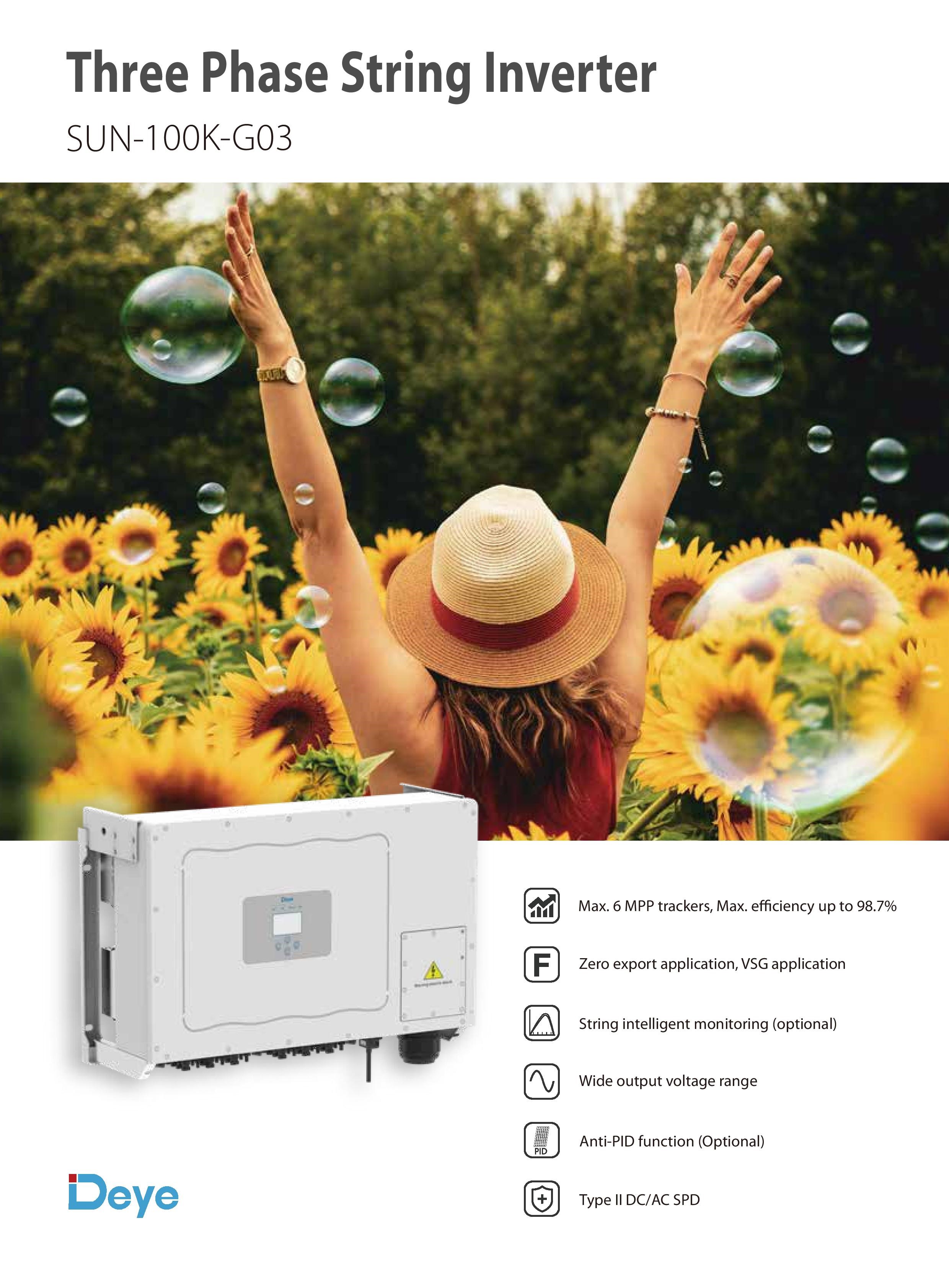 DEYE 100KW String Inverter teknik özellik tablosu 1